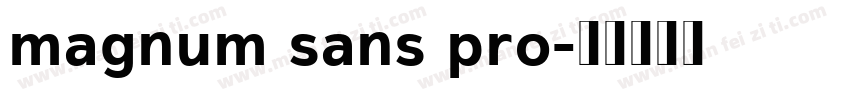 magnum sans pro字体转换
